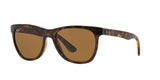 710/83 - Havana - Polar Brown