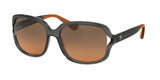 Coach L149 8169 Sunglasses