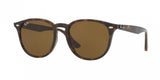 Ray Ban 4259F Sunglasses