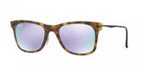 Ray Ban 4210 Sunglasses