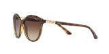 W65613 - Havana - Brown Gradient
