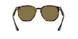 710/73 - Havana - Dark Brown