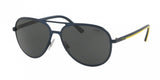 Polo 3102 Sunglasses