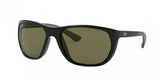 Ray Ban 4307 Sunglasses