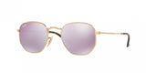 Ray Ban 3548NF Sunglasses