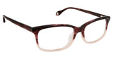 Fysh F3616 Eyeglasses