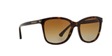 5026T5 - Havana - Polar Brown Gradient
