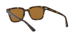 710/83 - Havana - Polar Brown