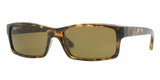 Ray Ban Rb4151 4151 Sunglasses