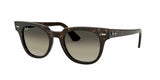 Ray Ban Meteor 2168 Sunglasses