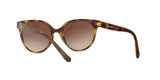 W65613 - Havana - Brown Gradient