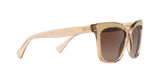 1688T5 - Beige - Brown Gradient Polarized