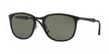 Ray Ban 4299 Sunglasses