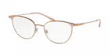Polo 1174 Eyeglasses