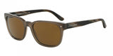 Giorgio Armani 8049 Sunglasses