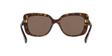 500373 - Shiny Dark Havana - Brown