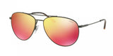Polo 3111 Sunglasses