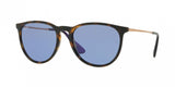 Ray Ban Erika 4171F Sunglasses