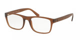 Polo 2161 Eyeglasses
