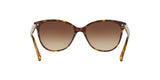 300213 - Havana - Brown Gradient