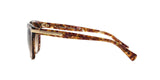 528713 - Light Brown - Brown Gradient