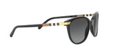 3001T3 - Black - Polar Grey Gradient