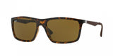 Ray Ban 4228 Sunglasses