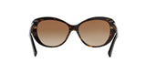 510/8 - Havana - Brown Gradient