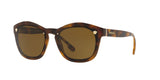 527673 - Havana - Brown