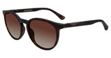Police SPL873700F53 Sunglasses
