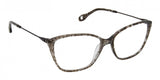 Fysh F3650 Eyeglasses