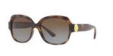 3285T5 - Havana - Brown Gradient Polarized