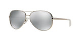 1001Z3 - Silver - Silver Mirror Polarized