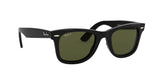 601/58 - Black - Green Polarized