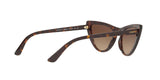 W65613 - Havana - Brown Gradient