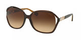 Coach L006 Natasha 0HC8018 Sunglasses