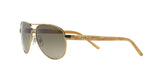 101/13 - Gold - Brown Gradient