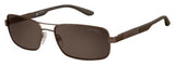 Carrera 8018 Sunglasses