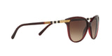 301413 - Bordeaux - Brown Gradient