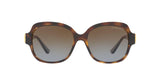 3285T5 - Havana - Brown Gradient Polarized