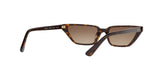 W65613 - Dark Havana - Brown Gradient