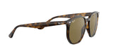 710/73 - Havana - Dark Brown