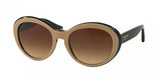 Coach 8077 Sunglasses