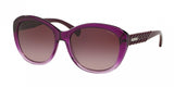 Coach L113 8142 Sunglasses