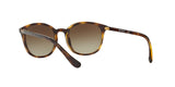 W65613 - Havana - Brown Gradient