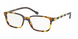Polo 2113 Eyeglasses