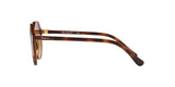 238613 - Brown Gradient