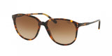 Polo 4097 Sunglasses