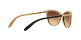109013 - Black - Brown Gradient