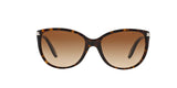 510/13 - Havana - Brown Gradient